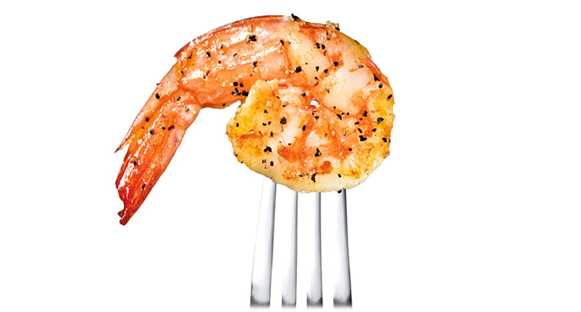 shrimp 834x448