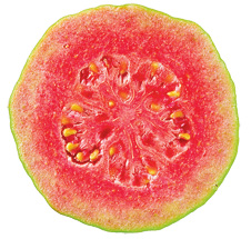 guava cut
