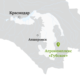 gubskoe map