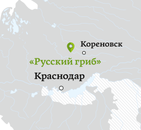 rus grib map