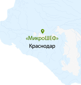 map micro