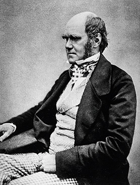 Charles Darwin seated